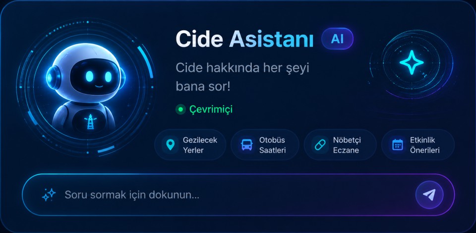 Cide Asistanı — Cide hakkında her şeyi bana sor