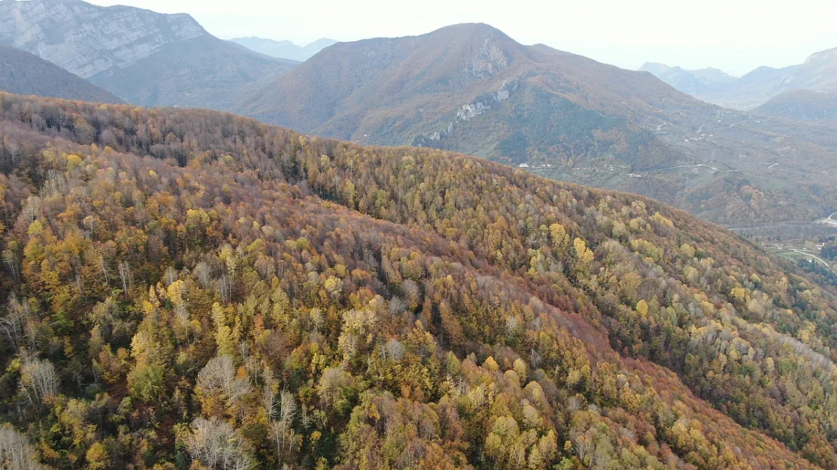 Sarıçam Evleri