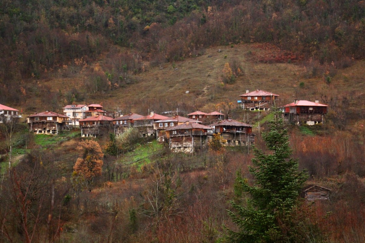 Sarıçam Evleri
