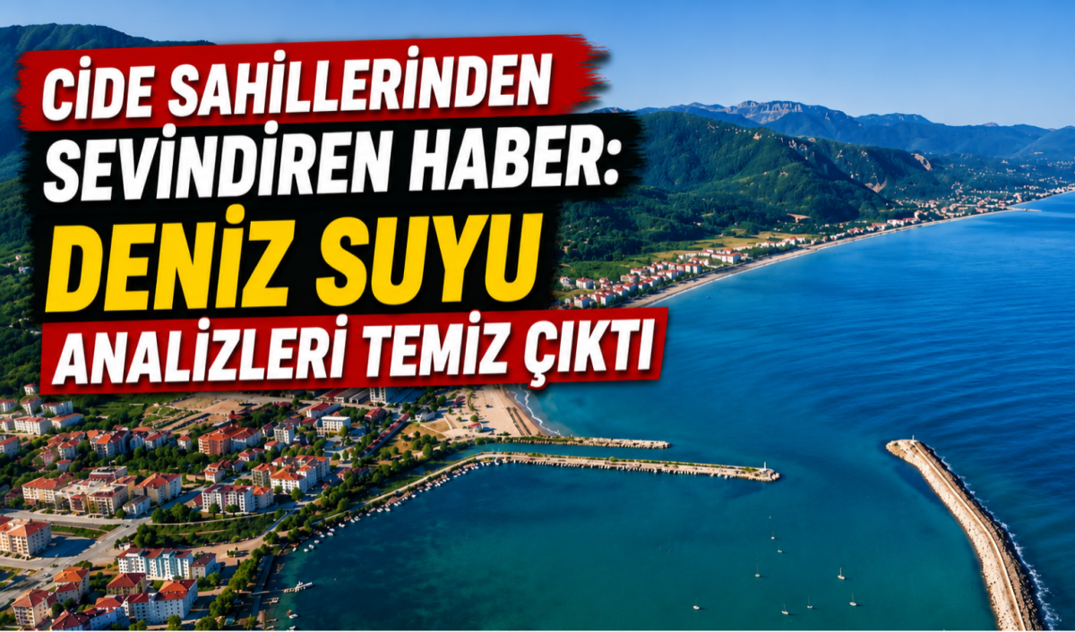 Cide Sahillerinden Sevindiren Haber: Deniz Suyu Analizleri Temiz Çıktı